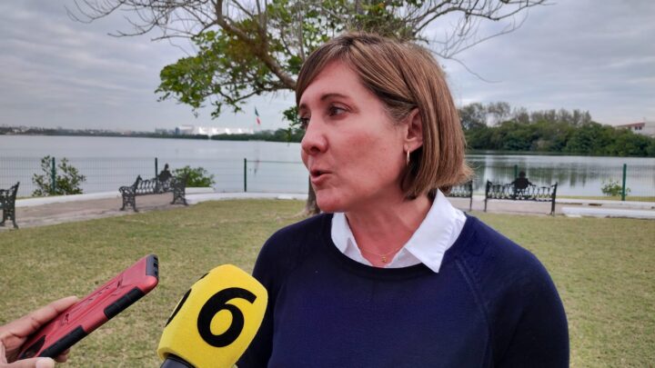 MORENA AVALÓ QUE DATOS BIOMÉTRICOS DE MEXICANOS PASEN A LA SEGOB: PAN