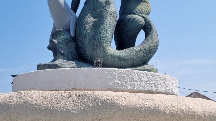 SIRENA NO SE MOVERÁ