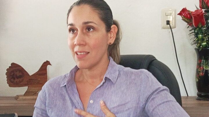 GRANDES AVANCES DEL SISTEMA DIF DE PLATóN SANCHEZ VER.