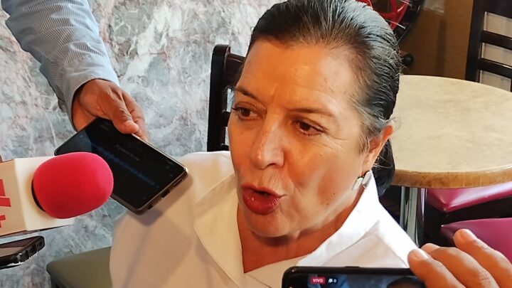 20% DE LOS TURISTAS QUE LLEGAN A TAMPICO SON EXTRANJEROS