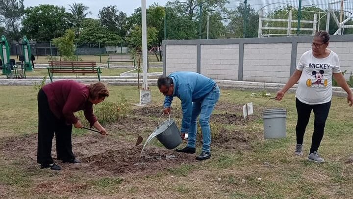 PROMUEVEN HUERTO COMUNITARIO EN CIUDAD MADERO