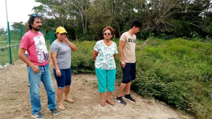 COCODRILOS ATEMORIZAN A FAMILIAS DE LA COLONIA MIRAMAPOLIS.