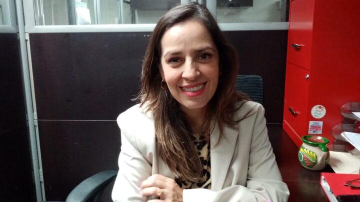 VANDALIZAN Y ROBAN ATRACTIVOS EN PLAYA MIRAMAR.