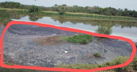 EMANACIONES EN LAGUNA TIENEN EN ALERTA VECINOS DEL NORTE DE MADERO.