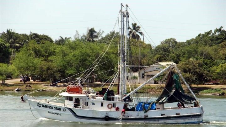 FLOTA CAMARONERA DEL SUR A PIQUE POR FALTA DE SUBSIDIOS FEDERALES