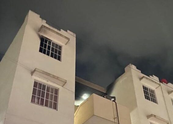 AMANECEN ENTRE LLAMAS EN EL FRACCIONAMIENTO CANARIOS