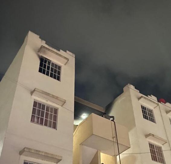 AMANECEN ENTRE LLAMAS EN EL FRACCIONAMIENTO CANARIOS