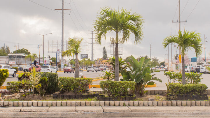 PERMANENTE PROGRAMA DE EMBELLECIMIENTO URBANO EN CIUDAD MADERO.