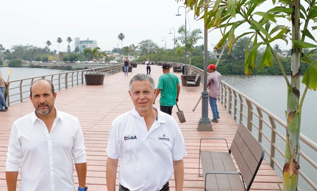 REEMPLAZAN PALMERAS DAÑADAS EN EL PUENTE PEATONAL DE LA LAGUNA DEL CARPINTERO