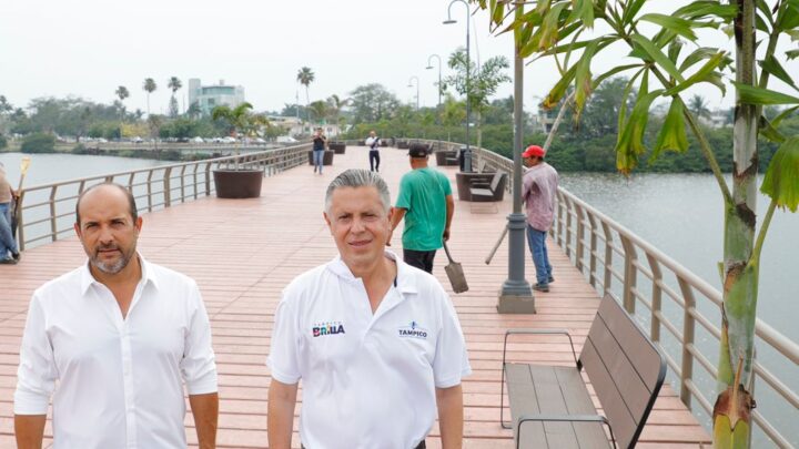REEMPLAZAN PALMERAS DAÑADAS EN EL PUENTE PEATONAL DE LA LAGUNA DEL CARPINTERO