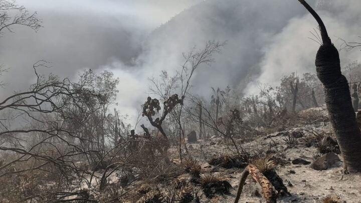 ATIENDE PROTECCIÓN CIVIL TAMAULIPAS DOS INCENDIOS FORESTALES EN JAUMAVE