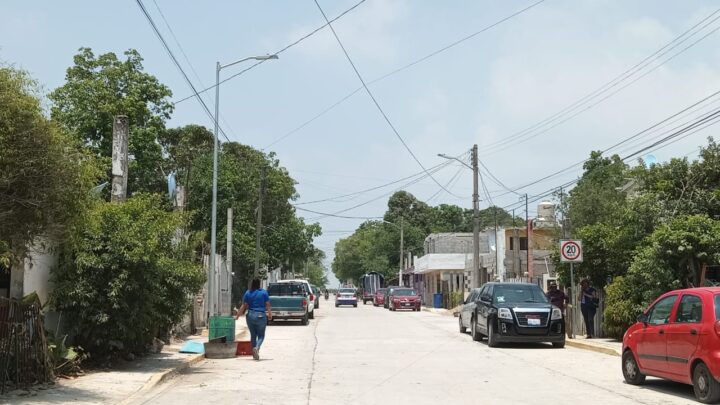 INVADEN MOSCOS EL NORTE DE  MADERO.