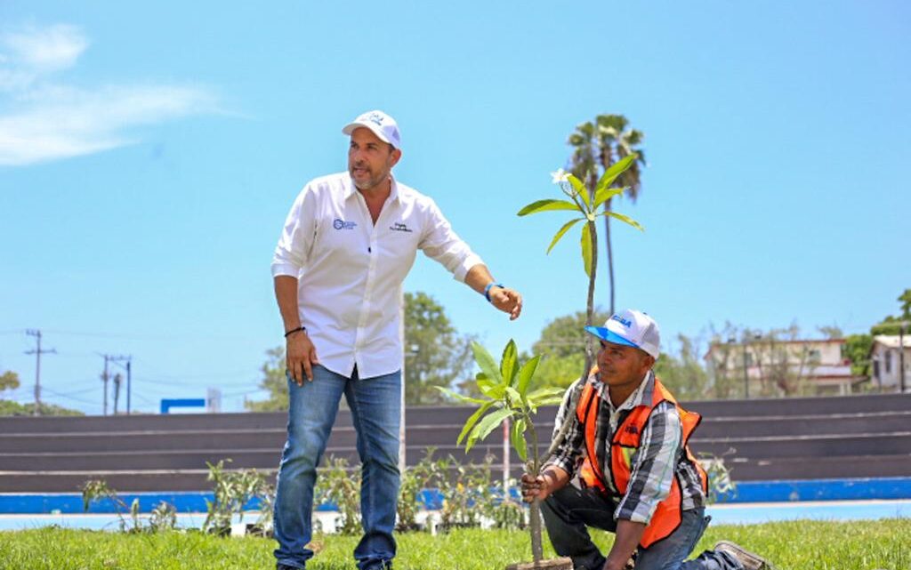 ENCABEZA PEPE SCHEKAIBÁN ACCIONES DE REFORESTACIÓN EN ESPACIOS PÚBLICOS ENCABEZA PEPE SCHEKAIBÁN ACCIONES DE REFORESTACIÓN EN ESPACIOS PÚBLICOS