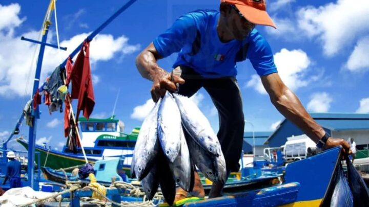ANGEL COVARRUBIAS GESTIONA APOYO URGENTE PARA PESCADORES DE TAMAULIPAS