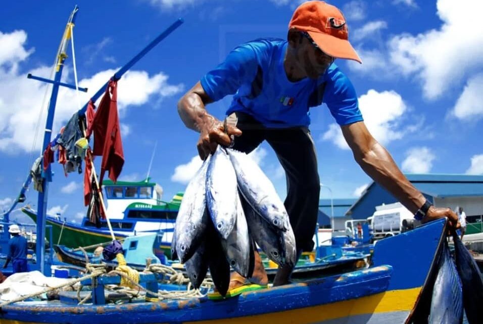 ANGEL COVARRUBIAS GESTIONA APOYO URGENTE PARA PESCADORES DE TAMAULIPAS