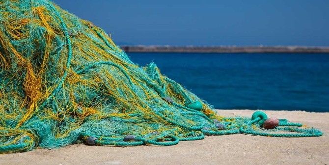 SIGUE PESCA FURTIVA EN PLAYAS DEL SUR.