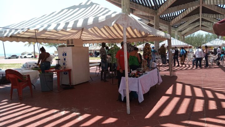 EXPO REACTIVA EL COMERCIO EN MADERO.