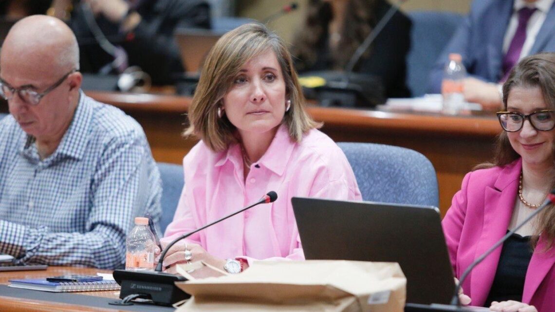 Integra Rosa González Comisión para Elaborar Plataforma Electoral del PAN 2024 Integra Rosa González Comisión para Elaborar Plataforma Electoral del PAN 2024