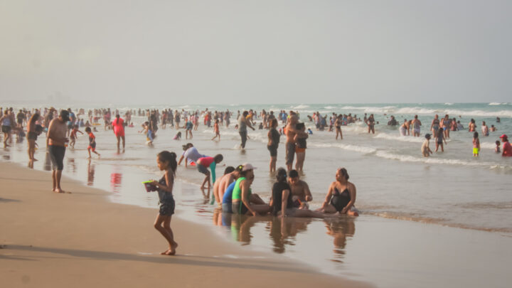 48 MIL VISITANTES ACUDIERON A MIRAMAR DURANTE EL PUENTE.