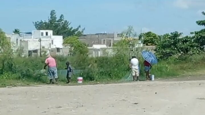 FAMILIAS CONSUMEN PESCADOS DE LAGUNA CONTAMINADA