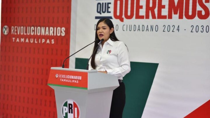 Secretaria del PRI en Tamaulipas Exige no Combinar Política con Educación en México