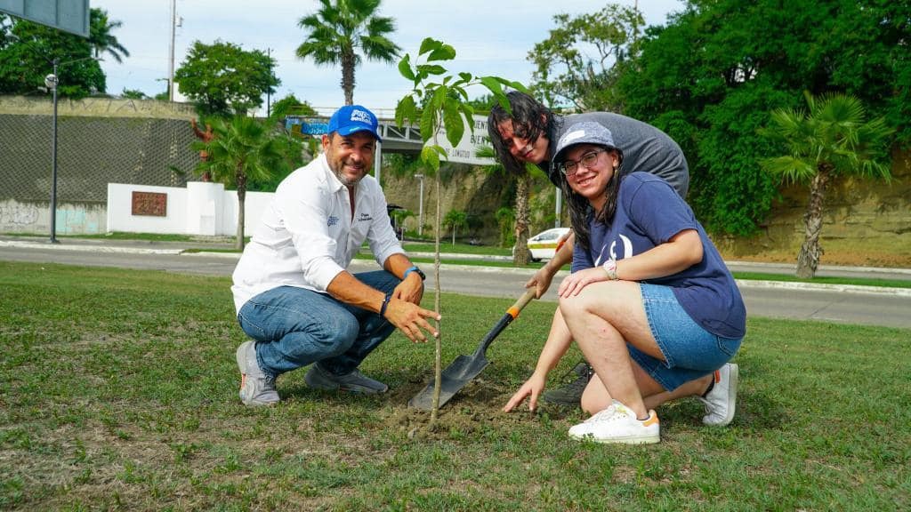 Continúa Pepe Scheckaibán reforestando espacios públicos y áreas verdes en Tampico Continúa Pepe Scheckaibán reforestando espacios públicos y áreas verdes en Tampico