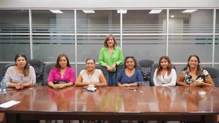 MUESTRA ROSA GONZÁLEZ TRABAJO LEGISLATIVO A RED DE MUJERES PERIODISTAS DEL SUR