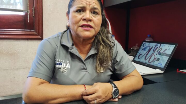 REQUIERE TAMPICO PROGRAMA SOCIAL ‘EMPLEANDO BIENESTAR”