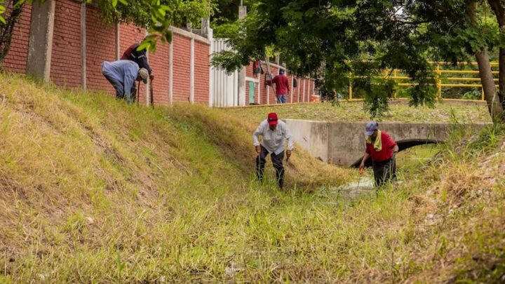 PERMANENTE LIMPIEZA DE CANALES DEL GOBIERNO DE ADRIÁN OSEGUERA
