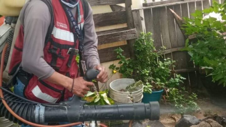 EN CIUDAD MADERO INTENSIFICAN ACCIONES DE FUMIGACIÓN.