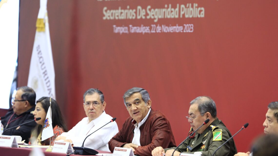 LA ESTRATEGIA DE SEGURIDAD AVANZA POR EL CAMINO CORRECTO: AMERICO