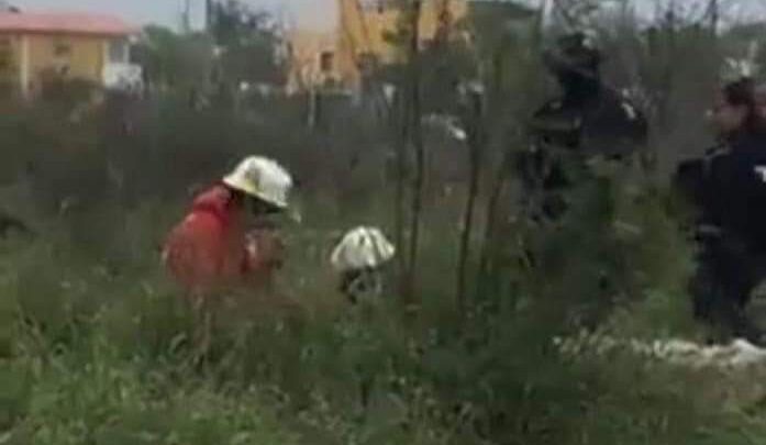 HIENA HUMANA TIRA A RECIÉN NACIDO EN UN BOTE DE BASURA