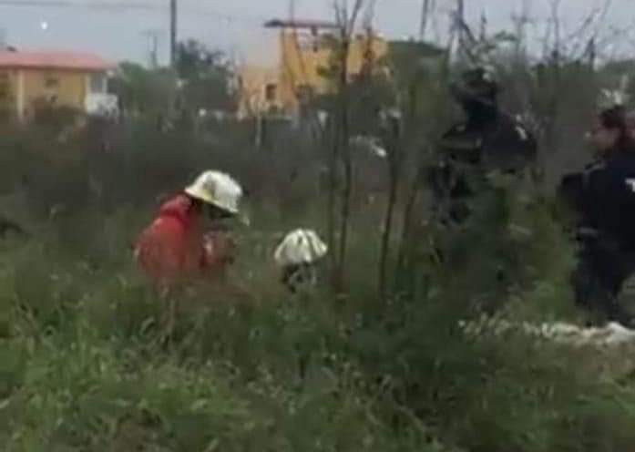 HIENA HUMANA TIRA A RECIÉN NACIDO EN UN BOTE DE BASURA