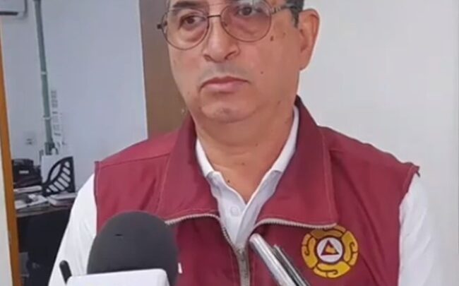 ARBOLES FICUS, SON UN PELIGRO PARA LA PPBLACION