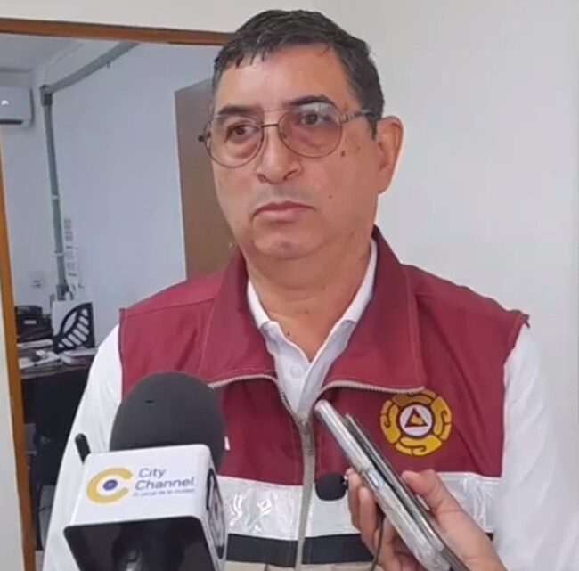 ARBOLES FICUS, SON UN PELIGRO PARA LA PPBLACION