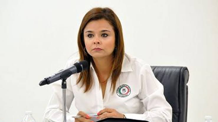 FONDOS DISCRECIONALES APROBADOS POR MORENA EN CONGRESO IRÍAN A SUS CAMPAÑAS EN EL 2024