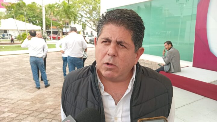 REALIZAN TRABAJOS DE REFORESTACIÓN EN AVENIDAS DE CIUDAD MADERO