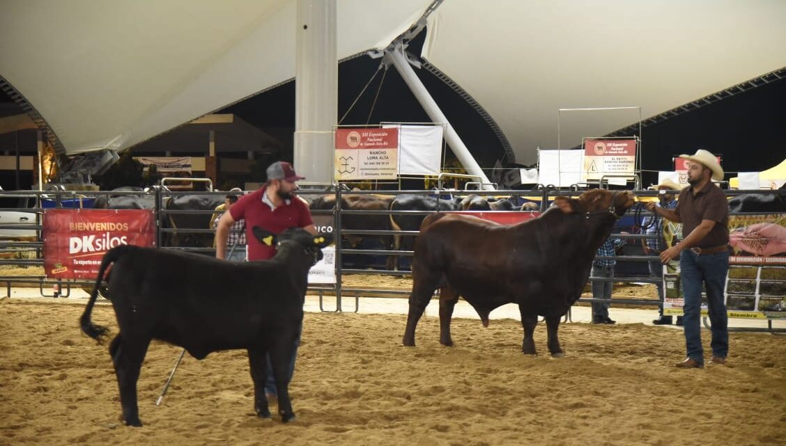 INAUGURAN EXPO NACIONAL GANADERA SUIZ-BÚ EN LA GRAN VELARIA DE TAMPICO
