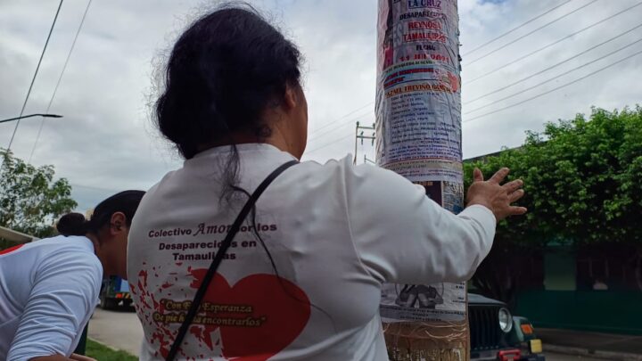 REALIZAN EN LA ZONA SUR DE TAMAULIPAS BÚSQUEDA DE DESAPARECIDOS.