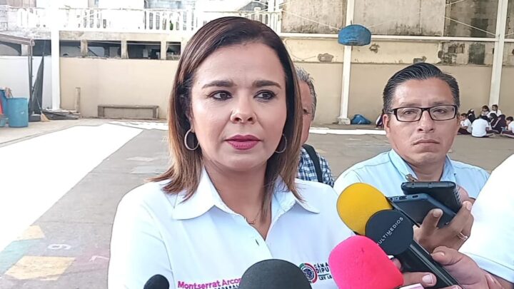 EXPLOTACIÓN SEXUAL INFANTIL NO SE HA COMBATIDO EN MÉXICO: MONTSERRAT ARCOS.