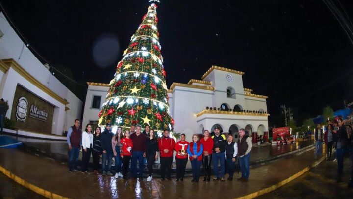 ENCIENDEN EN ALTAMIRA LA LUZ DE LA ESPERANZA CON MONUMENTAL PINO NAVIDEÑO