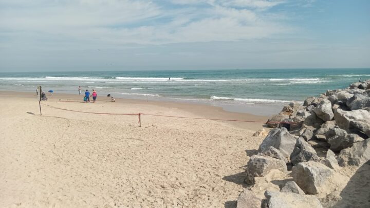 MIRAMAR LIBRE DE BACTERIAS: COEPRIS.