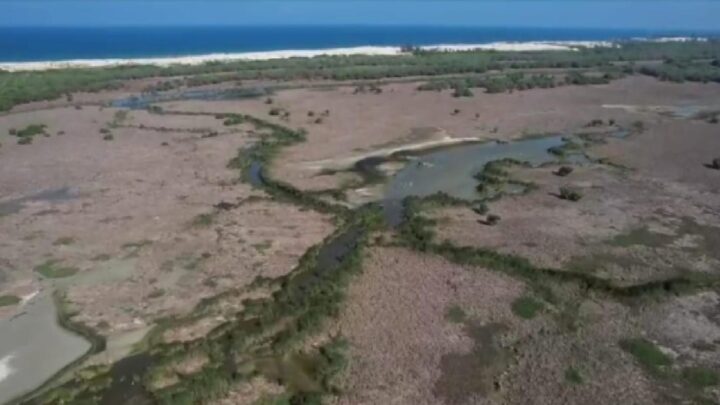 TRABAJAN YA EN PROYECTO DE ACCESO  A PLAYA TESORO