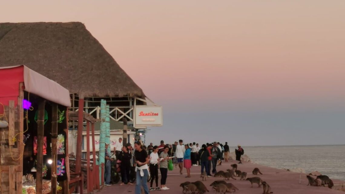 MÁS DE 40 MIL VISITANTES HA RECIBIDO CD. MADERO ESTA TEMPORADA DECEMBRINA