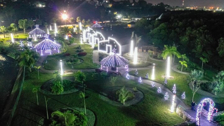 ENCIENDEN ILUMINACIÓN NAVIDEÑA EN EL VIVERO DIDÁCTICO