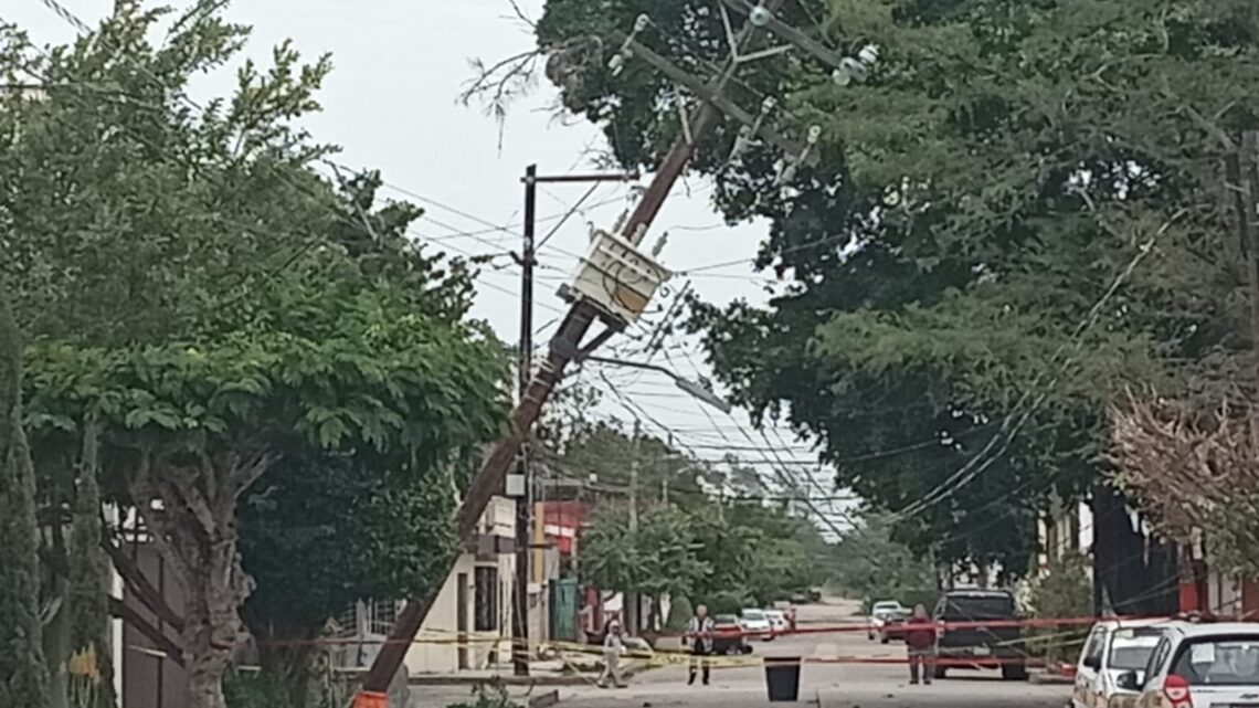 CAEN ÁRBOLES Y SE REGISTRAN APAGONES EN MADERO.