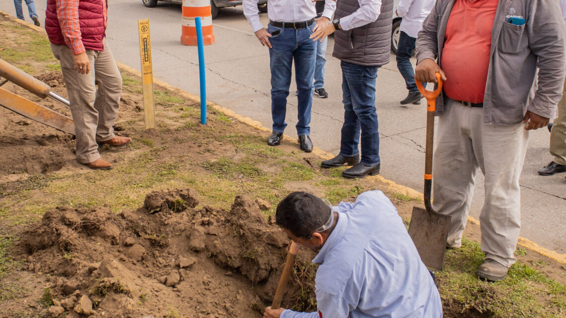 ADRIÁN OSEGUERA IMPULSA PROGRAMA DE REFORESTACIÓN EN PRINCIPALES AVENIDAS