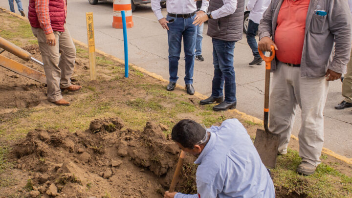 ADRIÁN OSEGUERA IMPULSA PROGRAMA DE REFORESTACIÓN EN PRINCIPALES AVENIDAS