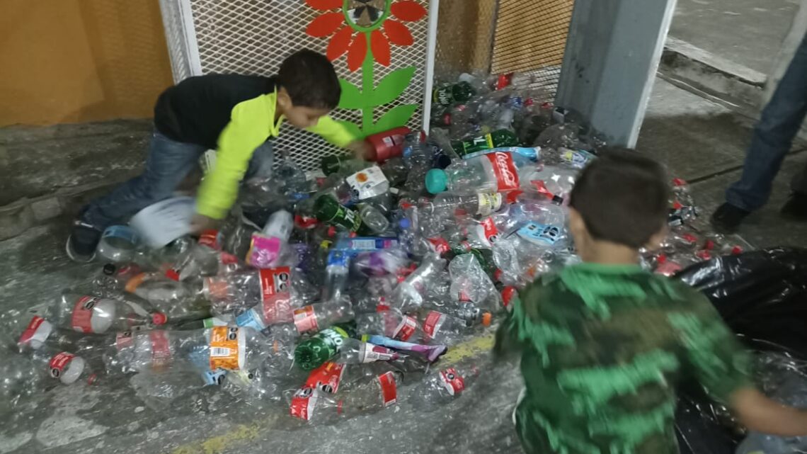 Roban Estructuras Conteniendo PET Y Tapas.