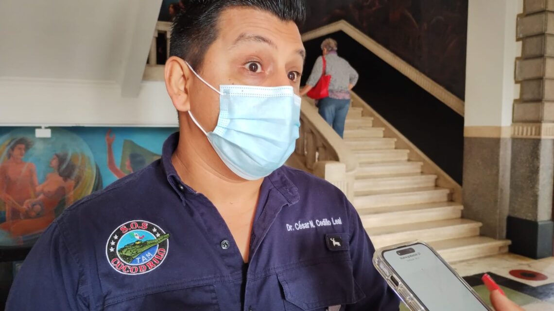 ALTAMIRA Y MADERO YA DEBEN TENER SOS COCODRILO